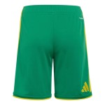 Herren Südafrika 2026 WM Heimshorts