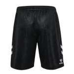 Herren Werder Bremen 2024/25 Dritte Shorts