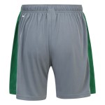 Herren Cardiff City 2024/25 Auswärtsshorts