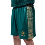 Herren VIS Aurelia 2025/26 Heim Shorts