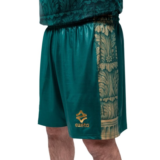 Herren VIS Aurelia 2025/26 Heim Shorts