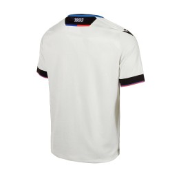 Herren FC Bâle 1893 2023/24 Auswärts Shirt