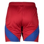 Herren Hamburger SV 2024/25 Heim Shorts
