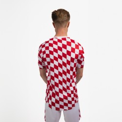 Herren Bristol City 2024/25 Heim Aufwärm-Shirt