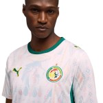 Herren Senegal 2026 Heim-WM-Trikot Herren Senegal 2026 Heim-WM-Trikot
