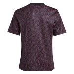 Kind Ajax 2024/25 Dritt Präsentationsshirt