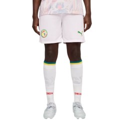 Kinder Senegal 2026 Heim-WM-Shorts Kinder Senegal 2026 Heim-WM-Shorts
