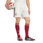 Herren Spanien 2026 Auswärts-WM Alternative Shorts Herren Spanien 2026 Auswärts-WM Alternative Shorts