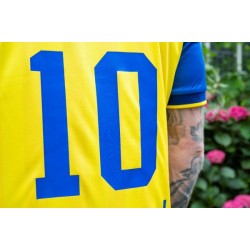 Herren RKC Waalwijk 2025/26 Heimtrikot Herren RKC Waalwijk 2025/26 Heimtrikot