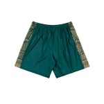 Herren VIS Aurelia 2025/26 Heim Shorts
