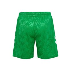 Herren Real Betis 2024/25 Heimshorts - Grün