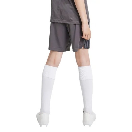 Herren Real Madrid 2024/25 Dritte Shorts