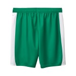 Kinder SpVgg Greuther 2025/26 Auswärtsshorts Kinder SpVgg Greuther 2025/26 Auswärtsshorts