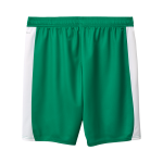 Herren SpVgg Greuther 2025/26 Auswärtsshorts
