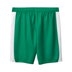 Herren SpVgg Greuther 2025/26 Auswärtsshorts