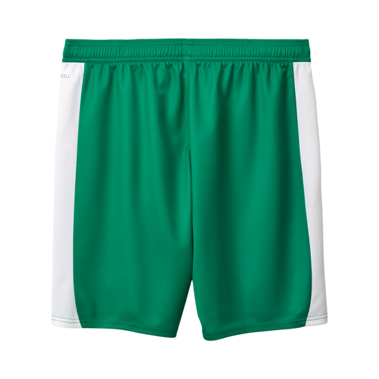 Herren SpVgg Greuther 2025/26 Auswärtsshorts