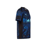 Damen Chelsea 2025/26 Drittes Pre-Match-Trikot Grau