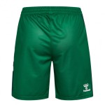 Damen Werder Bremen 2025/26 Heimshorts – Grün Damen Werder Bremen 2025/26 Heimshorts – Grün