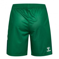 Damen Werder Bremen 2025/26 Heimshorts – Grün Damen Werder Bremen 2025/26 Heimshorts – Grün
