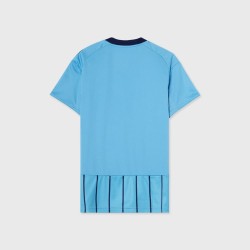 Herren Djurgårdens IF 2025 Heimtrikot Herren Djurgårdens IF 2025 Heimtrikot