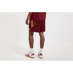 Herren Arsenal 2024/25 Urban Purist Shorts