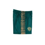 Herren VIS Aurelia 2025/26 Heim Shorts