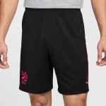 Herren Chelsea 2024/25 Drittshorts