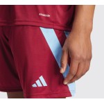 Herren Servette FC 2024/25 Drittes Pre-Match Shorts