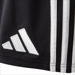 Herren OL 2025/26 Dritte Europa-Shorts