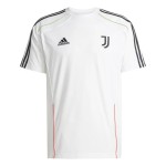 Herren Juventus 2024/25 Urban Purist Shirt