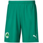 Herren SpVgg Greuther 2024/25 Auswärts Shorts
