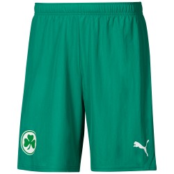 Herren SpVgg Greuther 2024/25 Auswärts Shorts