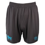 Herren Ipswich Town 2025/26 Dritte Shorts