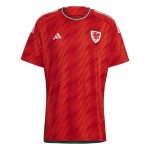 Wales Heimtrikot Weltmeisterschaft 2022