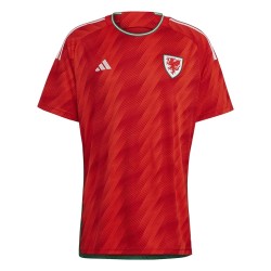 Wales Heimtrikot Weltmeisterschaft 2022