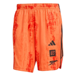 Herren Arsenal x NTS 2025/26 Urban Purist Shorts