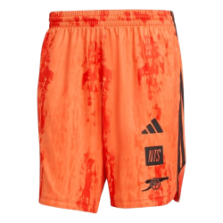 Herren Arsenal x NTS 2025/26 Urban Purist Shorts