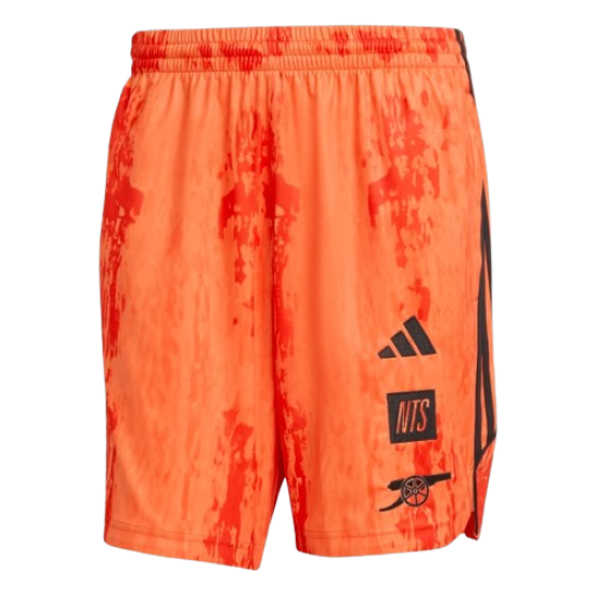 Herren Arsenal x NTS 2025/26 Urban Purist Shorts