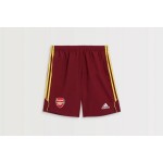Herren Arsenal 2024/25 Urban Purist Shorts