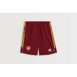 Kinder Arsenal 2024/25 Urban Purist Shorts
