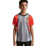 Kinder Chelsea 2025/26 Drittes Pre-Match-Trikot Grau