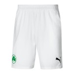 Herren SpVgg Greuther 2024/25 Heim Shorts