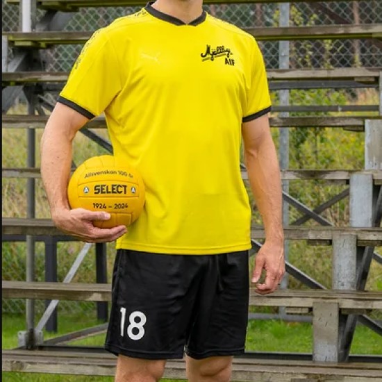 Damen Mjällby AIF 2024 Drittes Centenary Shorts Damen Mjällby AIF 2024 Drittes Centenary Shorts