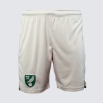 Herren Norwich City 2024/25 Drittelshorts