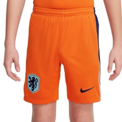 Niederlande Heimshorts EURO 2024
