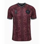 Herren Dänemark 2024 Sondertrikot