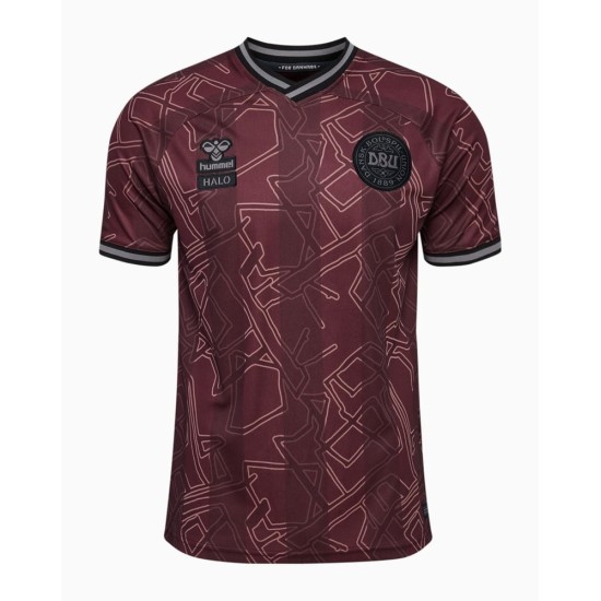 Herren Dänemark 2024 Sondertrikot