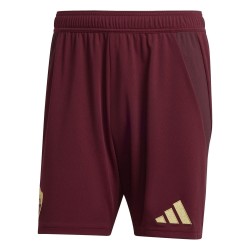 Herren Roma 2024/25 Heim Shorts
