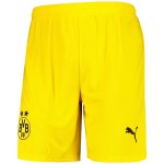 Herren BVB Borussia Dortmund 2023/24 Auswärts Shorts