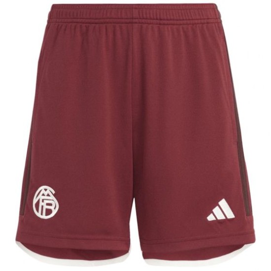 Herren Bayern München 2023/24 Dritte Shorts